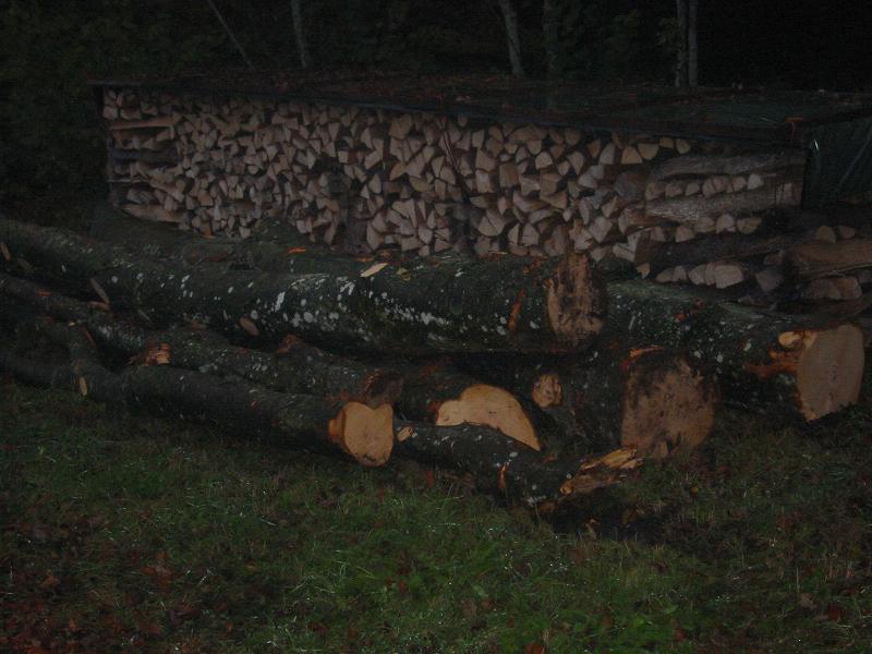 Holz 2010 008.jpg