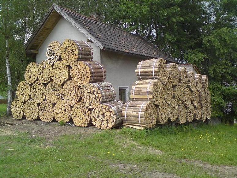 Holz vor der Hütte.JPG